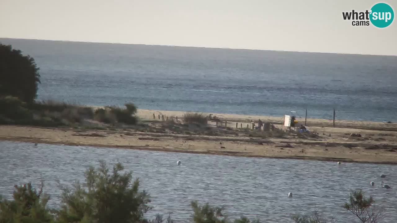 Webcam Chia – Live View of Su Giudeu Beach