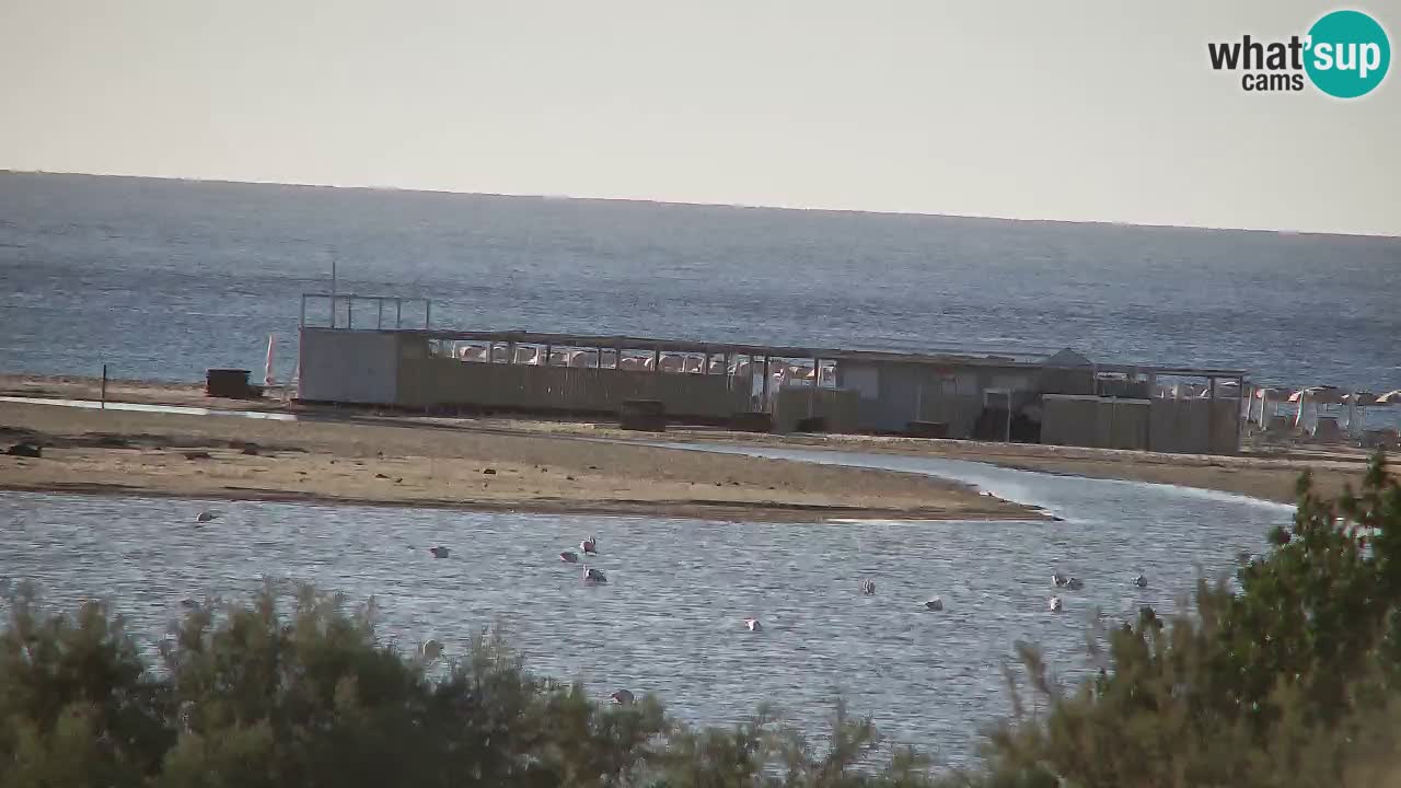 Webcam Chia – Live View of Su Giudeu Beach