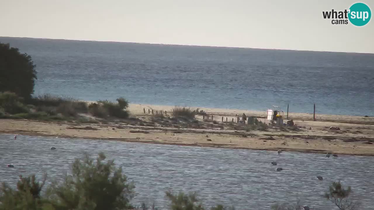 Webcam Chia – Vista en directo de la playa Su Giudeu