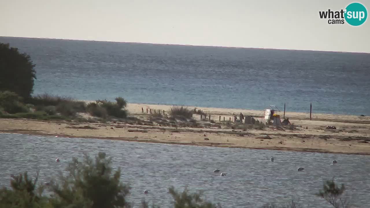 Webcam Chia – Vista en directo de la playa Su Giudeu