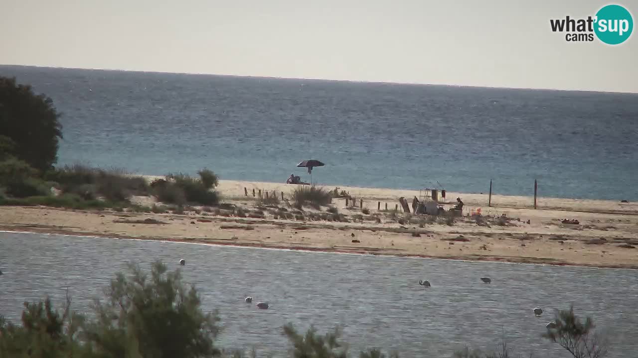 Webcam Chia – Vista en directo de la playa Su Giudeu