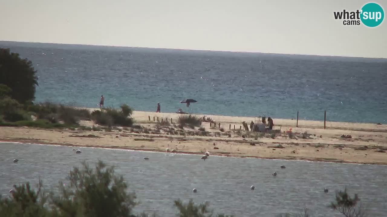 Webcam Chia – Spiaggia Su Giudeu in diretta