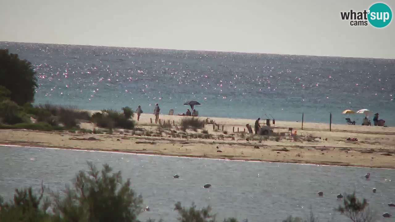 Webcam Chia – Liveblick auf den Strand Su Giudeu