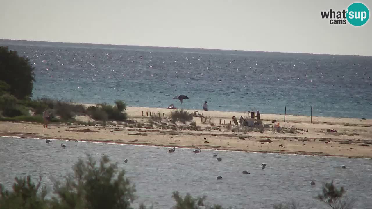 Spletna kamera Chia – Pogled v živo na plažo Su Giudeu