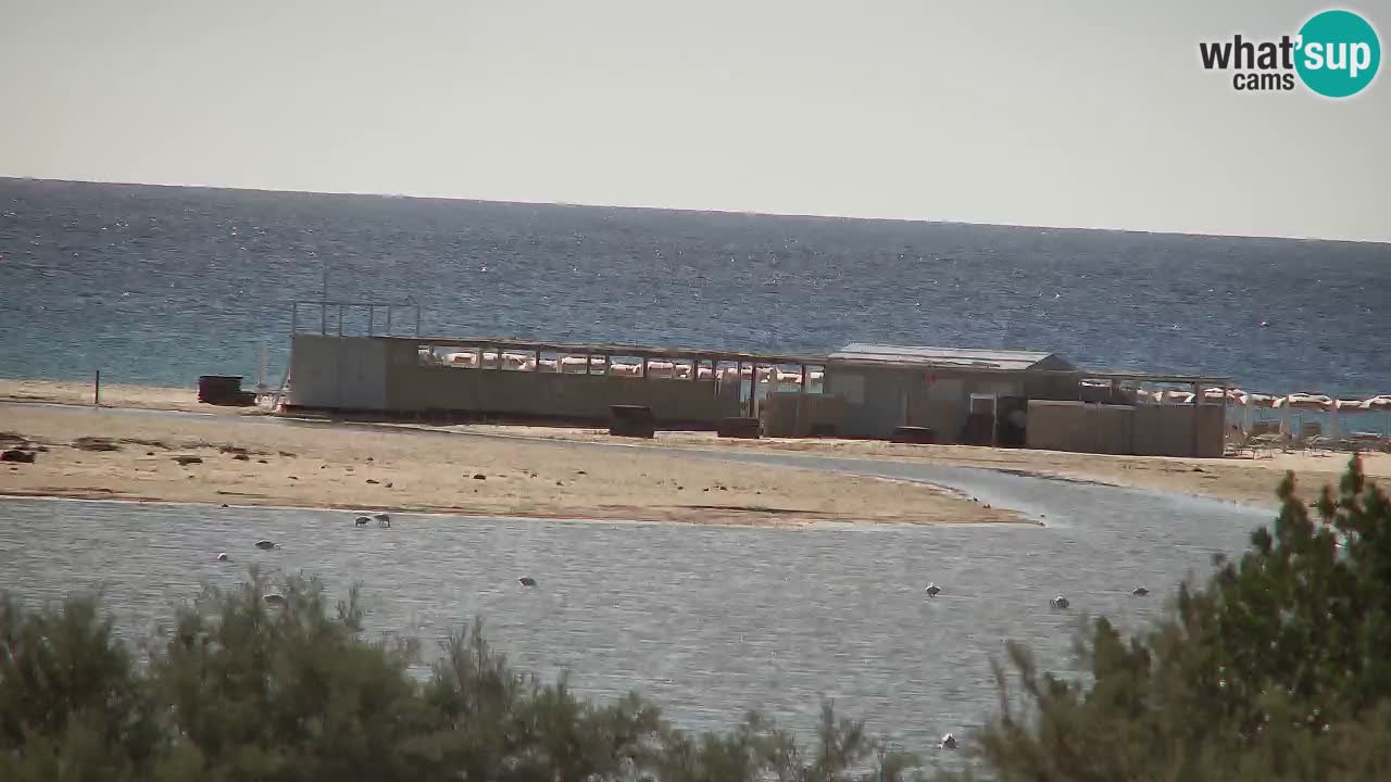 Webcam Chia – Live View of Su Giudeu Beach