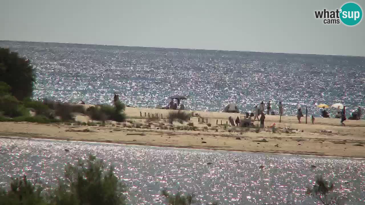 Spletna kamera Chia – Pogled v živo na plažo Su Giudeu
