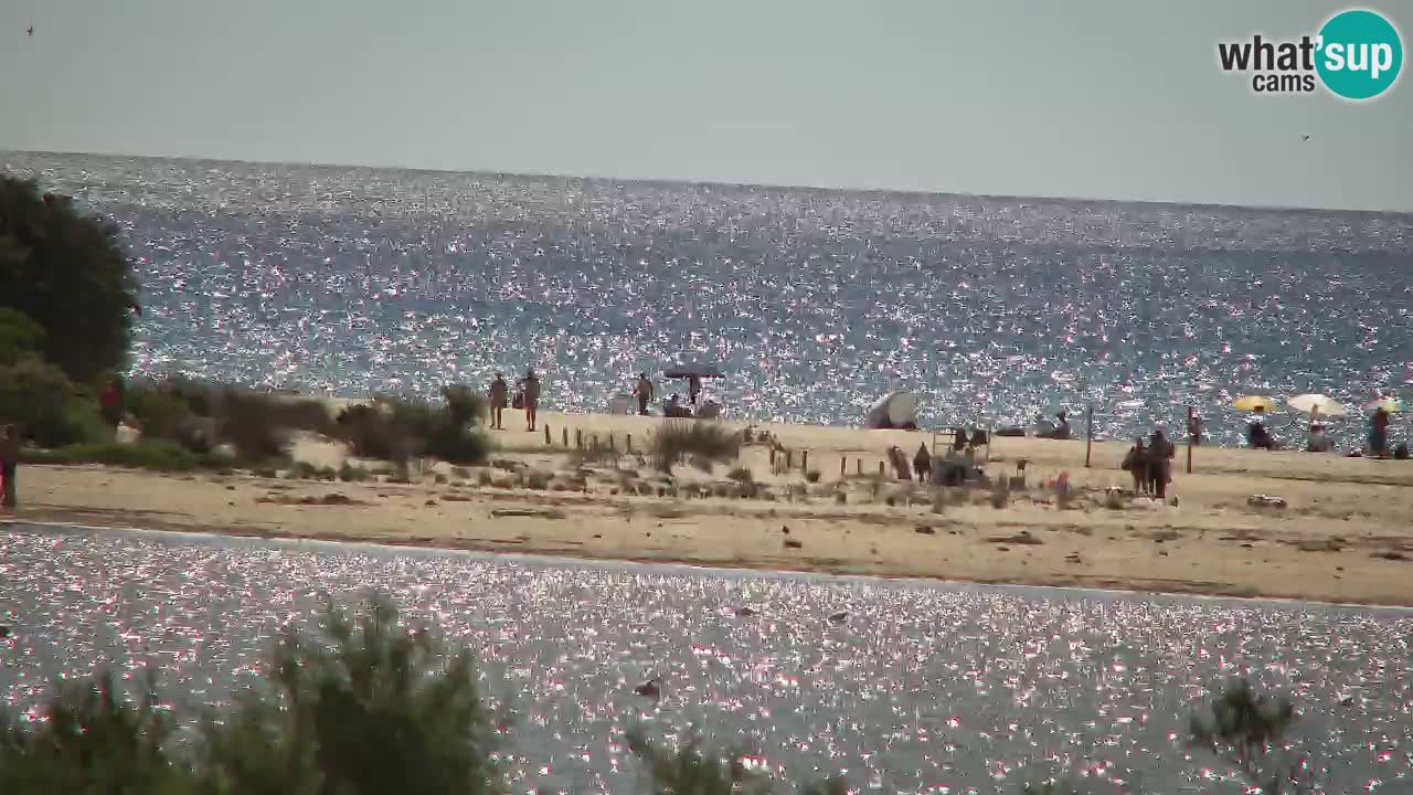 Webcam Chia – Spiaggia Su Giudeu in diretta