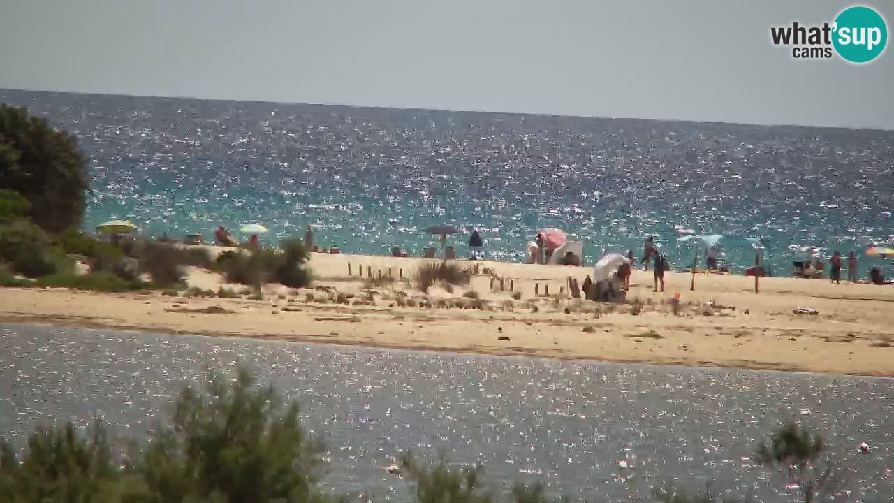 Webcam Chia – Vista en directo de la playa Su Giudeu