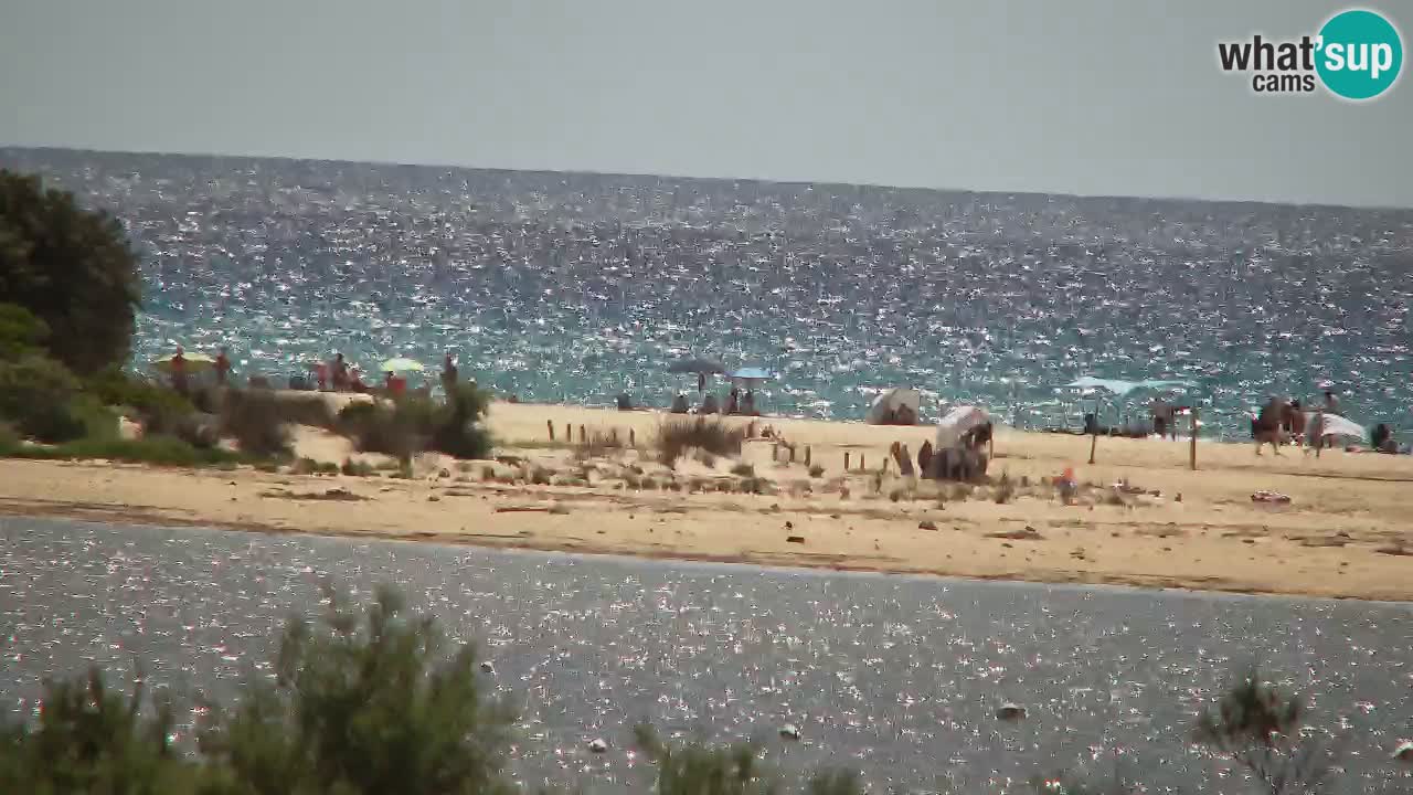 Webcam Chia – Liveblick auf den Strand Su Giudeu