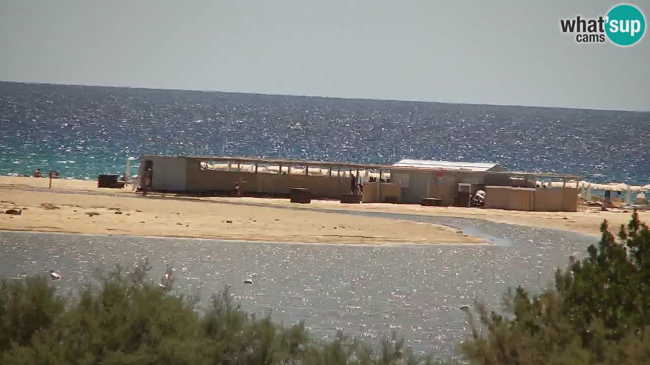 Webcam Chia – Live View of Su Giudeu Beach