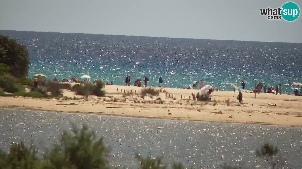 Webcam Chia – Vista en directo de la playa Su Giudeu
