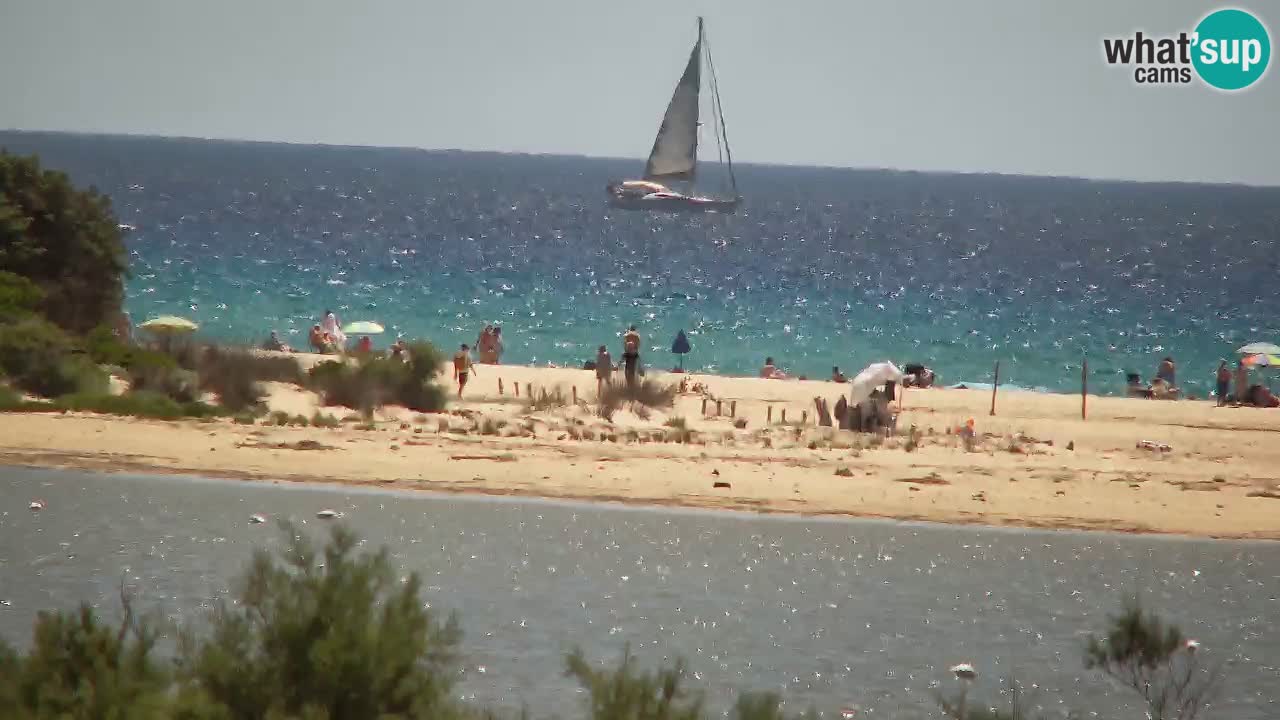 Webcam Chia – Vista en directo de la playa Su Giudeu