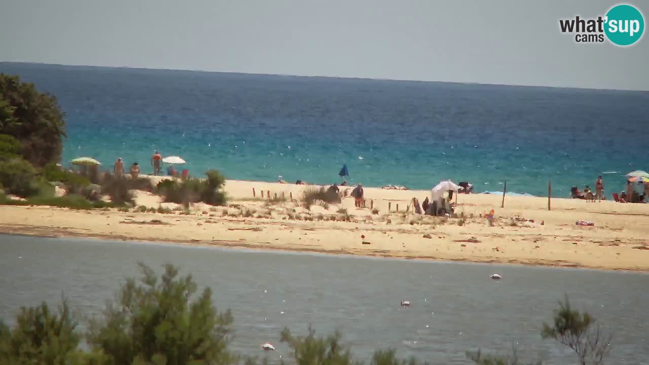 Webcam Chia – Liveblick auf den Strand Su Giudeu