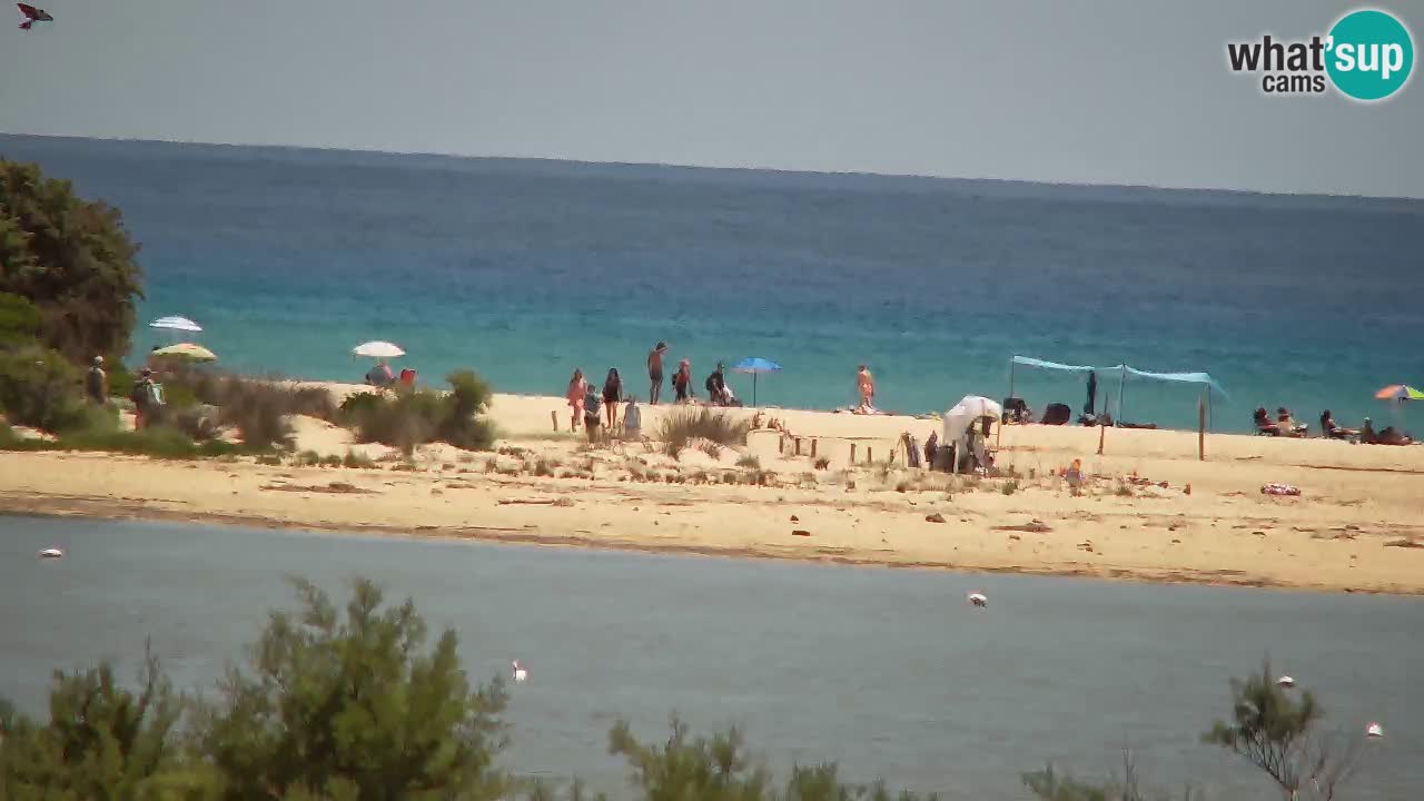 Webcam Chia – Vue en direct de la plage Su Giudeu