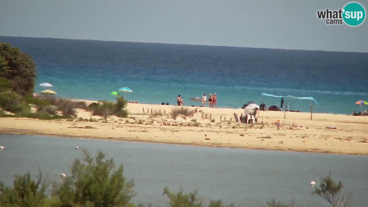 Web kamera Chia – Pogled uživo na plažu Su Giudeu