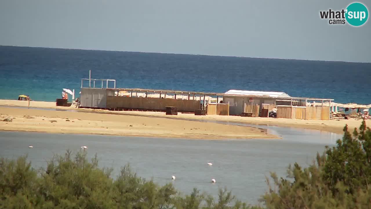 Webcam Chia – Live View of Su Giudeu Beach
