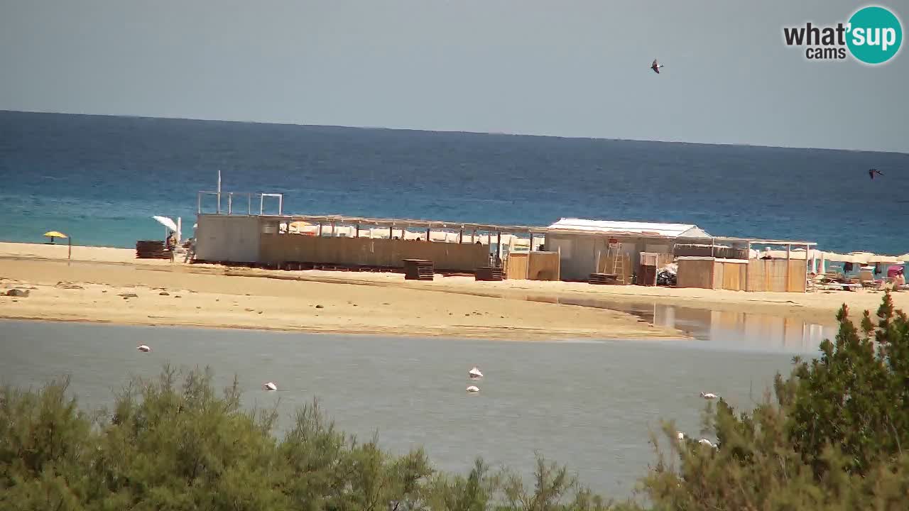 Webcam Chia – Liveblick auf den Strand Su Giudeu