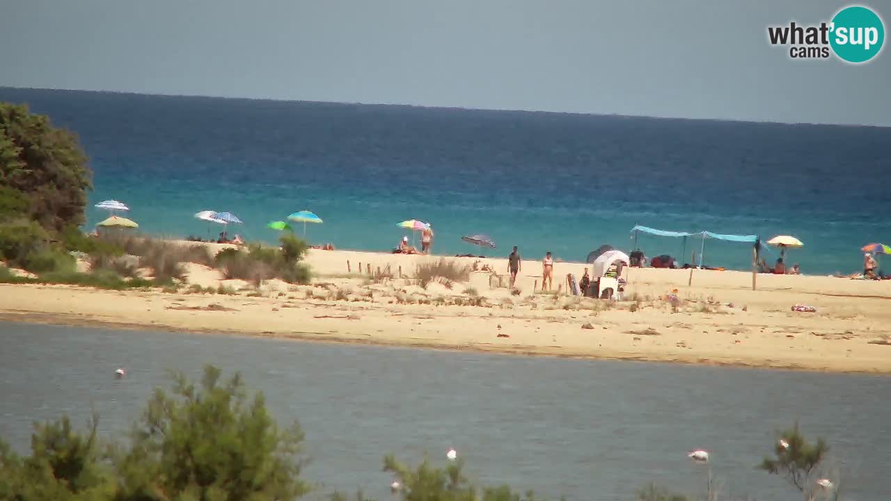 Webcam Chia – Liveblick auf den Strand Su Giudeu