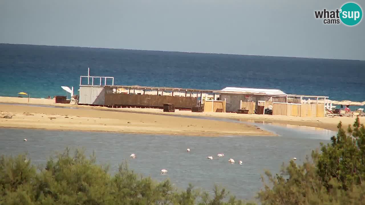 Webcam Chia – Liveblick auf den Strand Su Giudeu