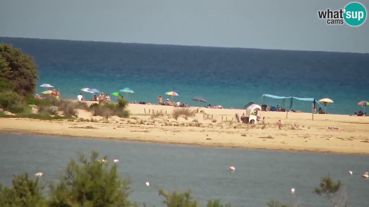 Webcam Chia – Live View of Su Giudeu Beach