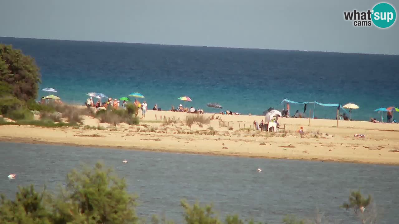 Web kamera Chia – Pogled uživo na plažu Su Giudeu