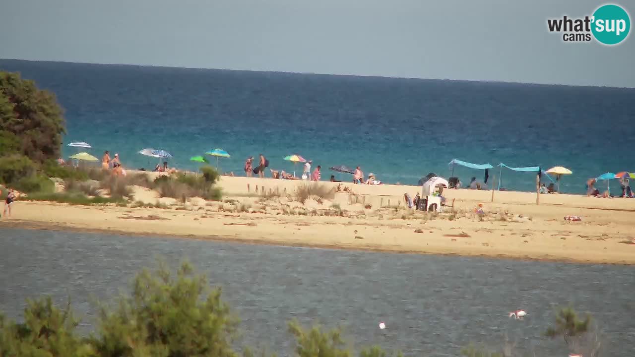 Web kamera Chia – Pogled uživo na plažu Su Giudeu
