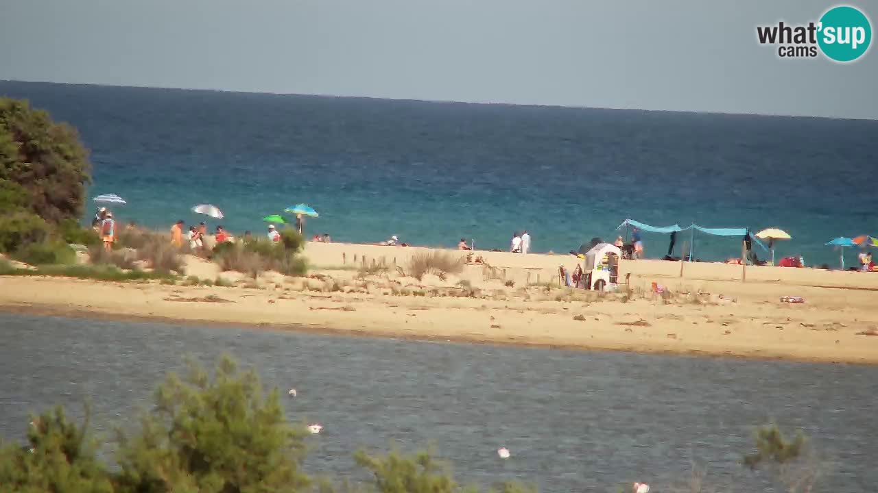 Webcam Chia – Spiaggia Su Giudeu in diretta
