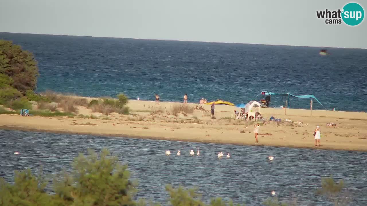 Webcam Chia – Live View of Su Giudeu Beach