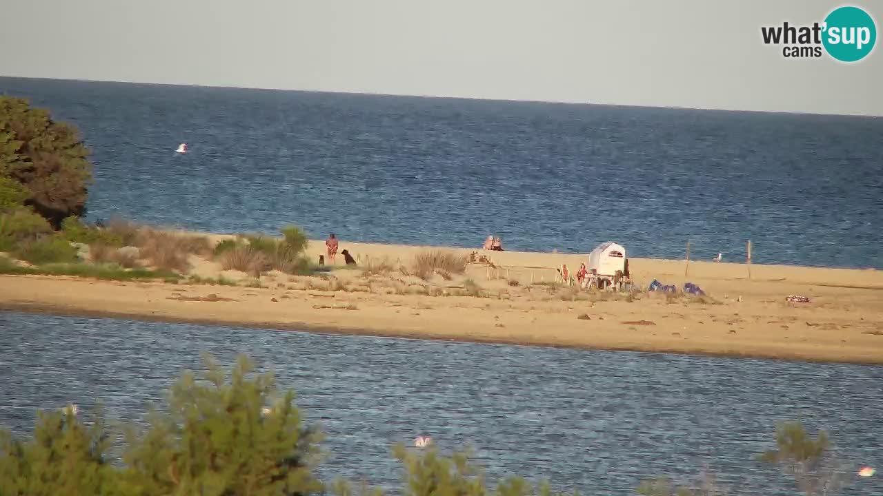 Webcam Chia – Live View of Su Giudeu Beach