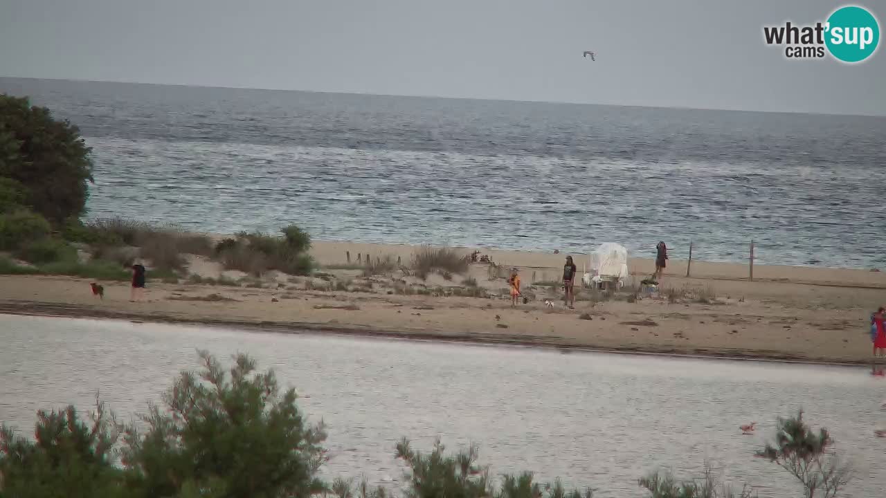 Spletna kamera Chia – Pogled v živo na plažo Su Giudeu