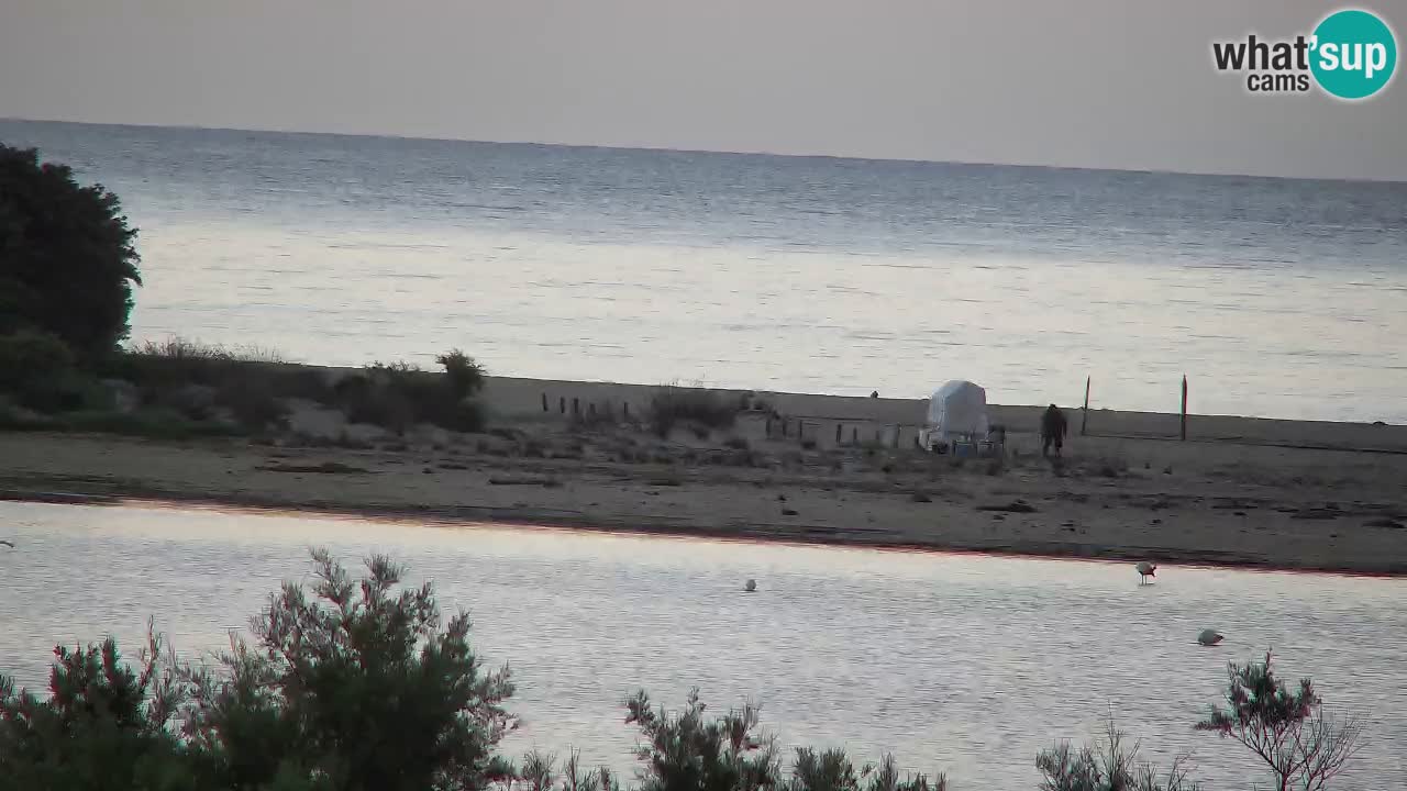 Webcam Chia – Live View of Su Giudeu Beach