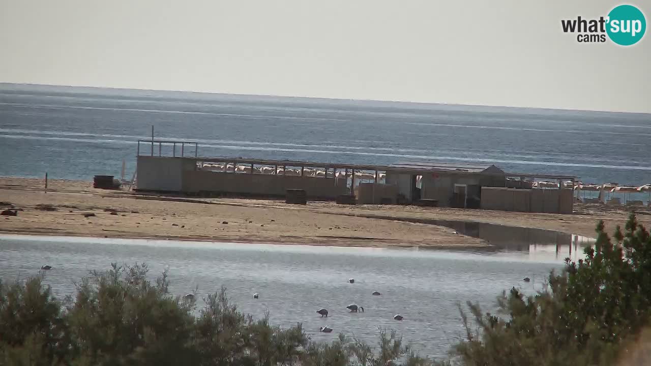 Webcam Chia – Live View of Su Giudeu Beach