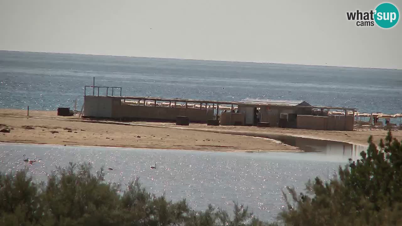 Webcam Chia – Live View of Su Giudeu Beach