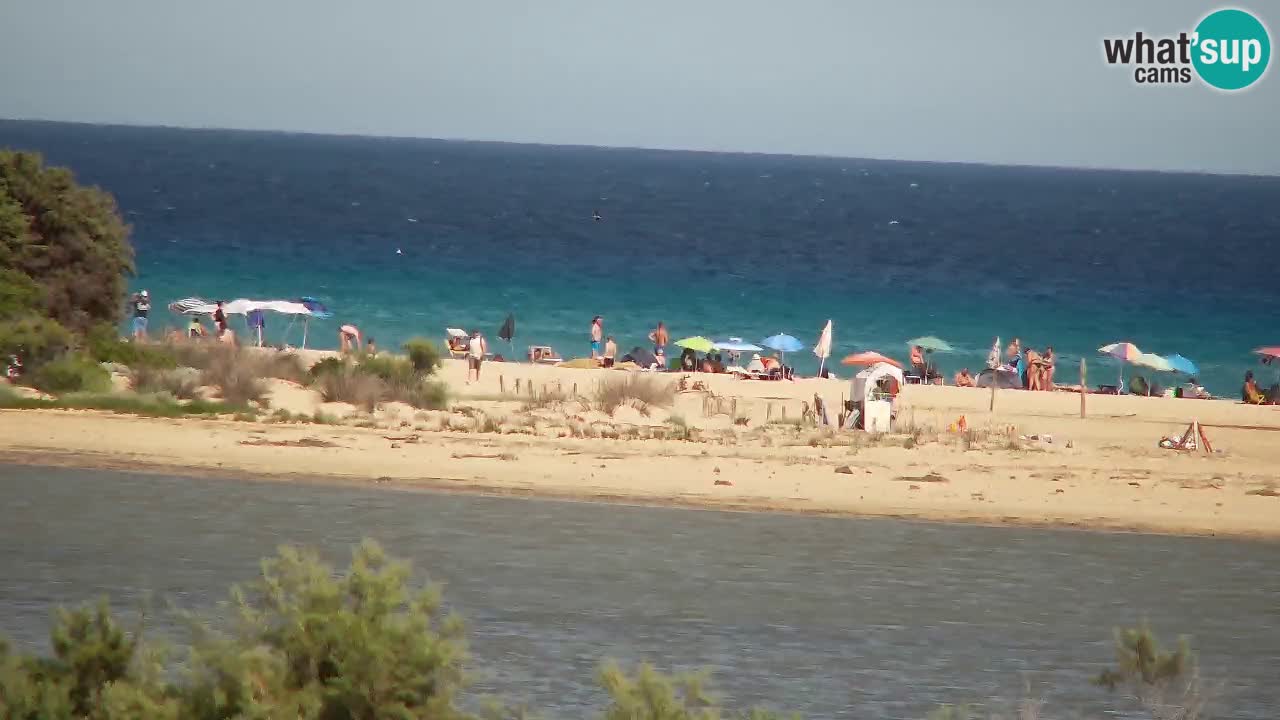 Webcam Chia – Live View of Su Giudeu Beach