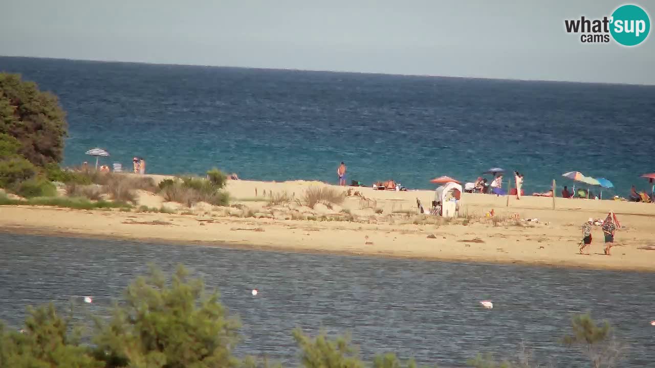 Webcam Chia – Live View of Su Giudeu Beach