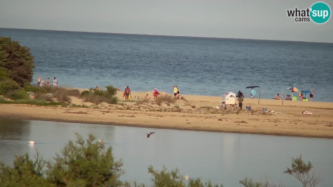 Webcam Chia – Liveblick auf den Strand Su Giudeu