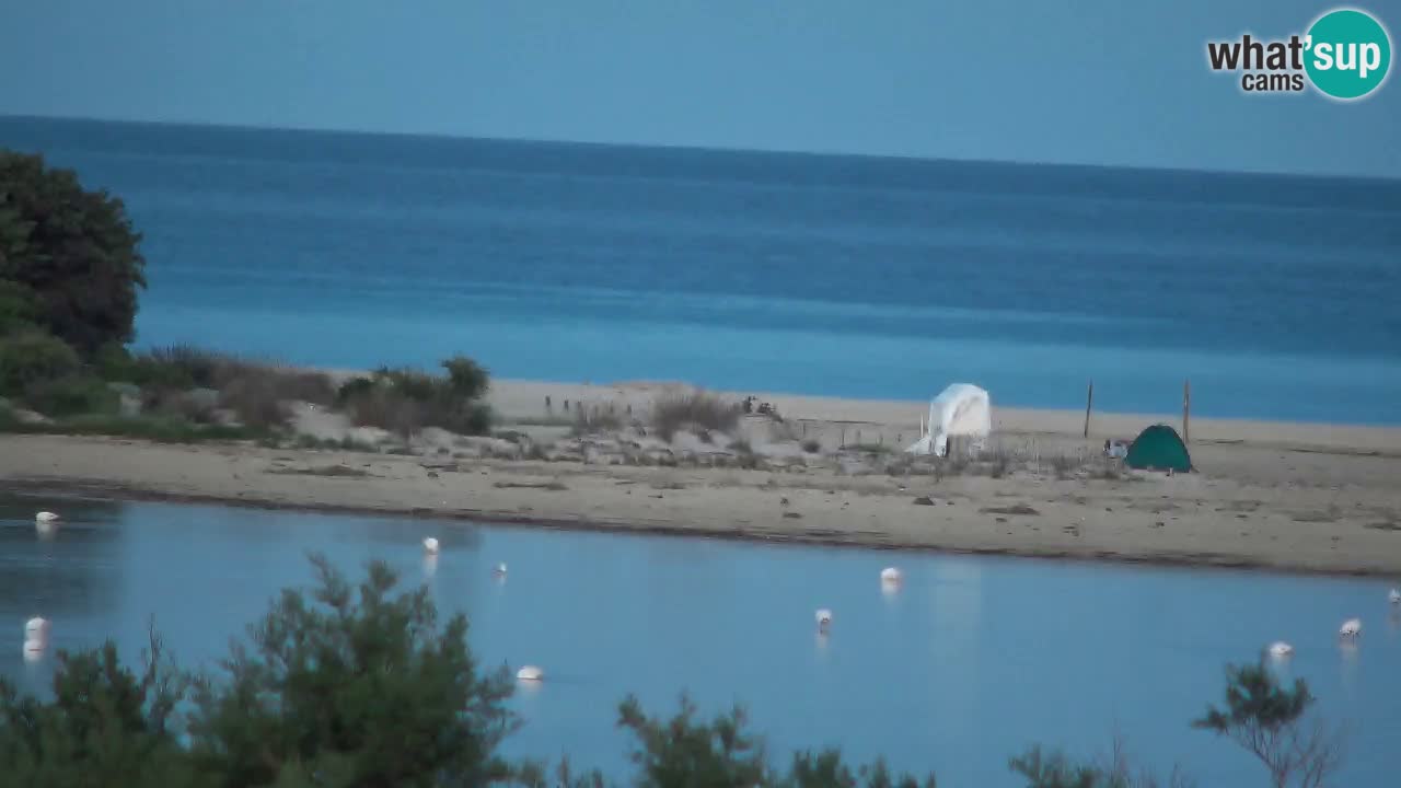 Webcam Chia – Live View of Su Giudeu Beach