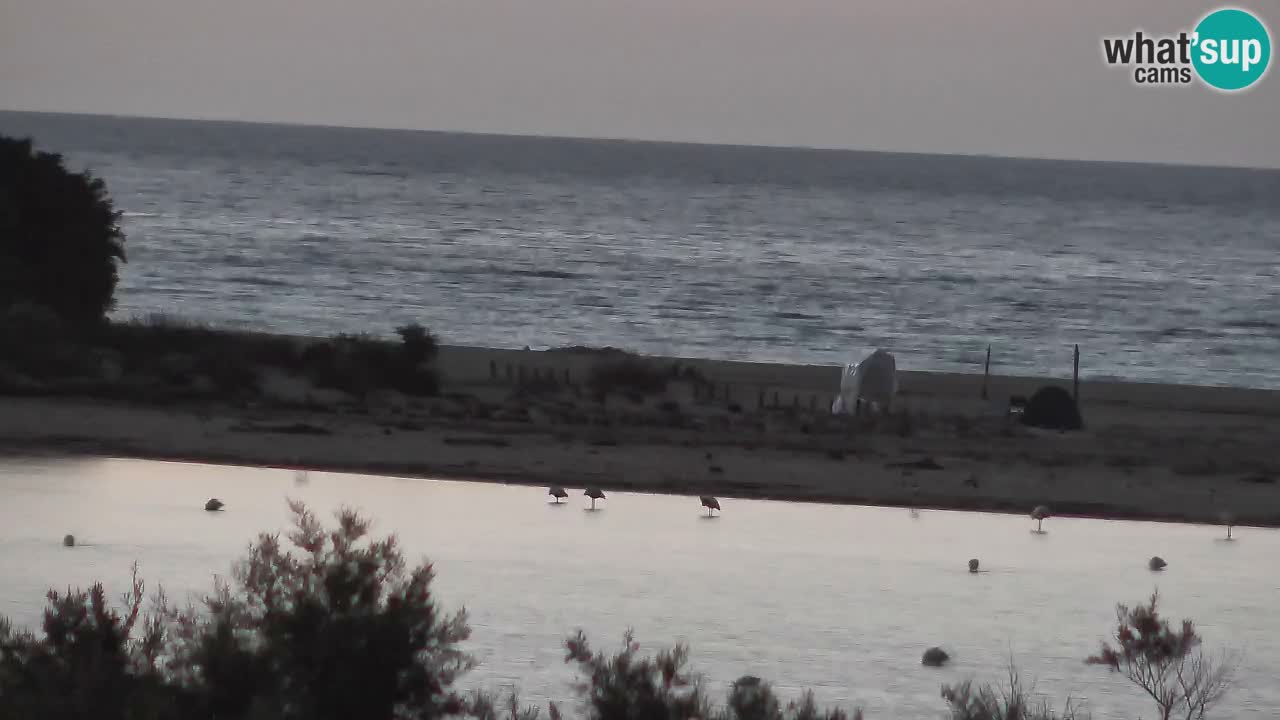 Webcam Chia – Liveblick auf den Strand Su Giudeu