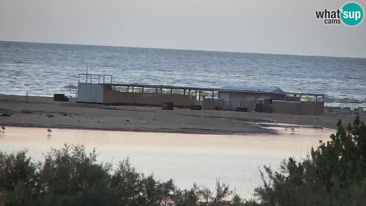 Webcam Chia – Live View of Su Giudeu Beach
