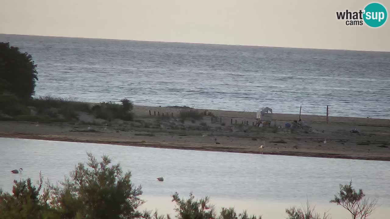 Webcam Chia – Vue en direct de la plage Su Giudeu