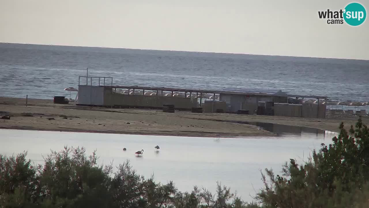 Webcam Chia – Spiaggia Su Giudeu in diretta