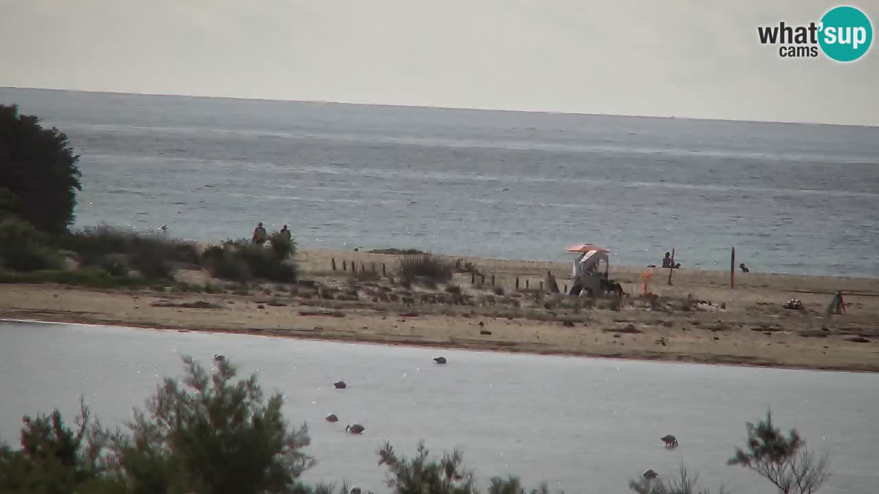 Webcam Chia – Vue en direct de la plage Su Giudeu