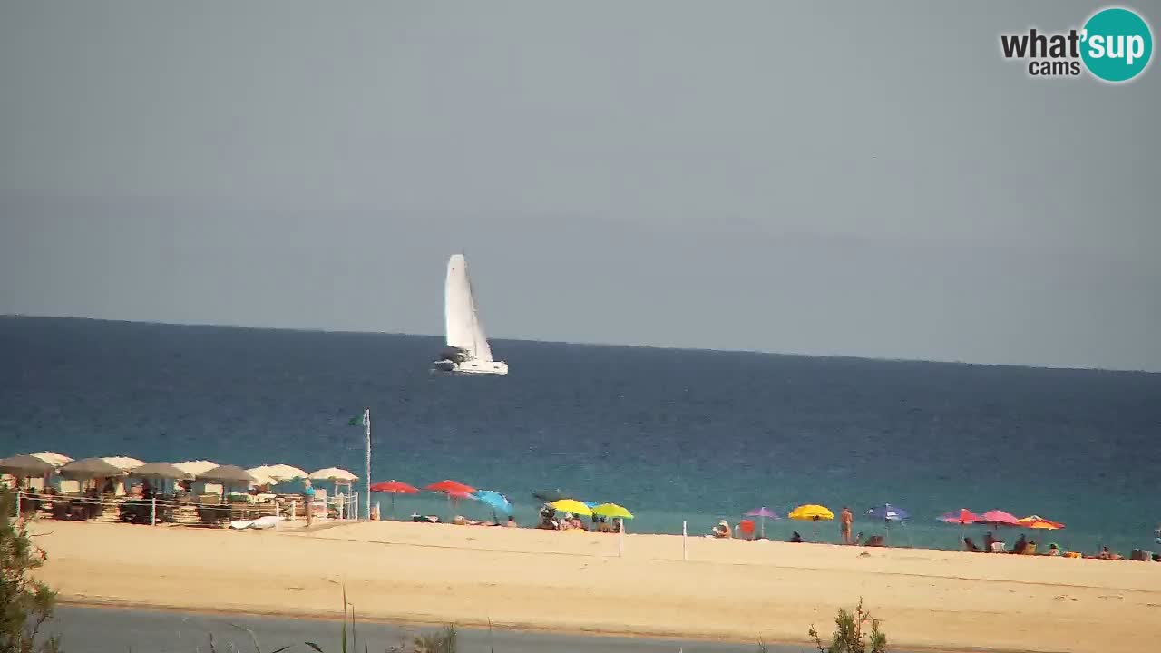 Webcam Chia – Live View of Su Giudeu Beach