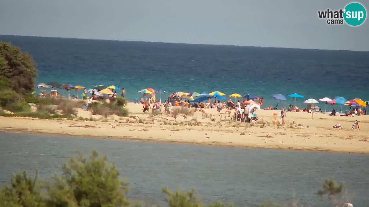 Webcam Chia – Live View of Su Giudeu Beach