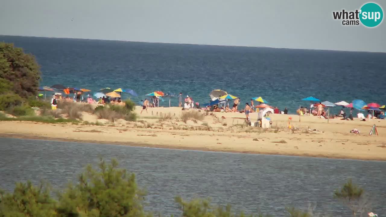Webcam Chia – Live View of Su Giudeu Beach