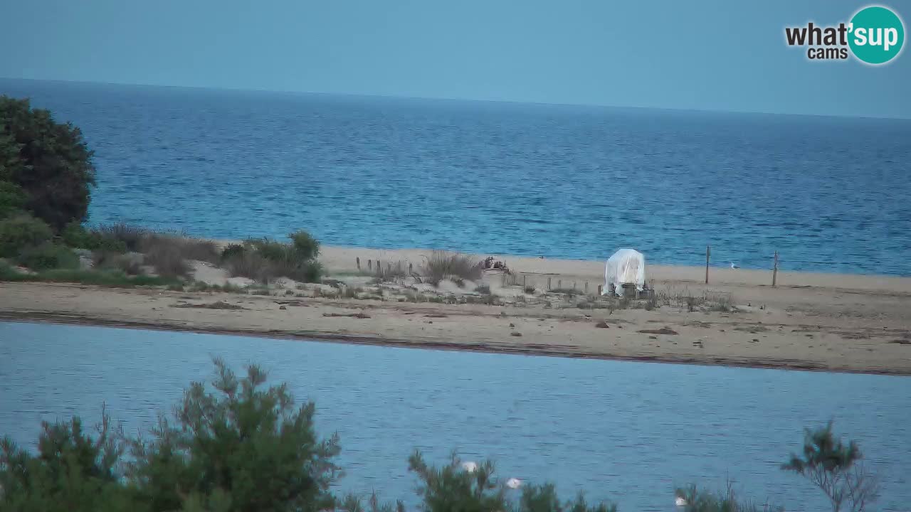 Webcam Chia – Live View of Su Giudeu Beach
