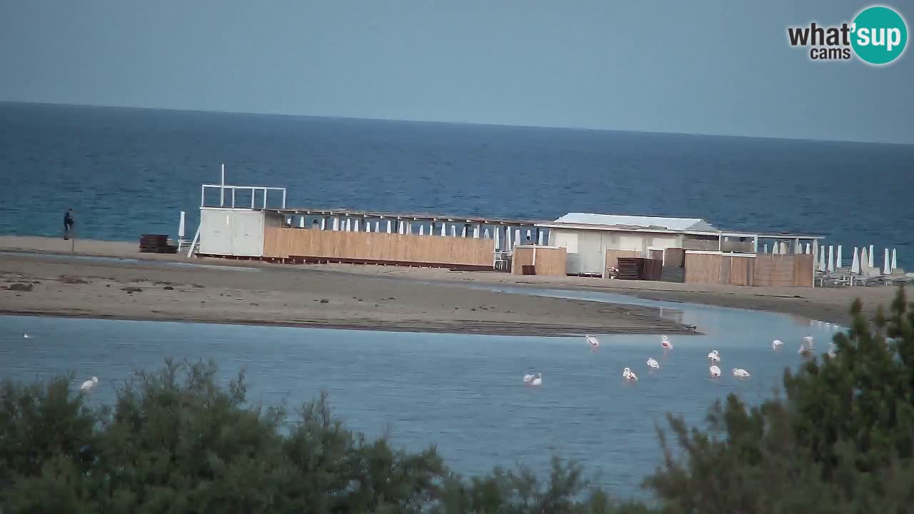 Webcam Chia – Live View of Su Giudeu Beach