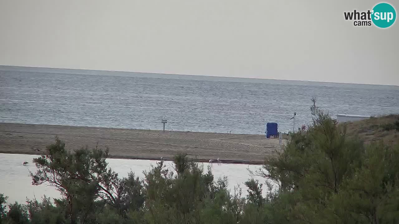 Webcam Chia – Liveblick auf den Strand Su Giudeu