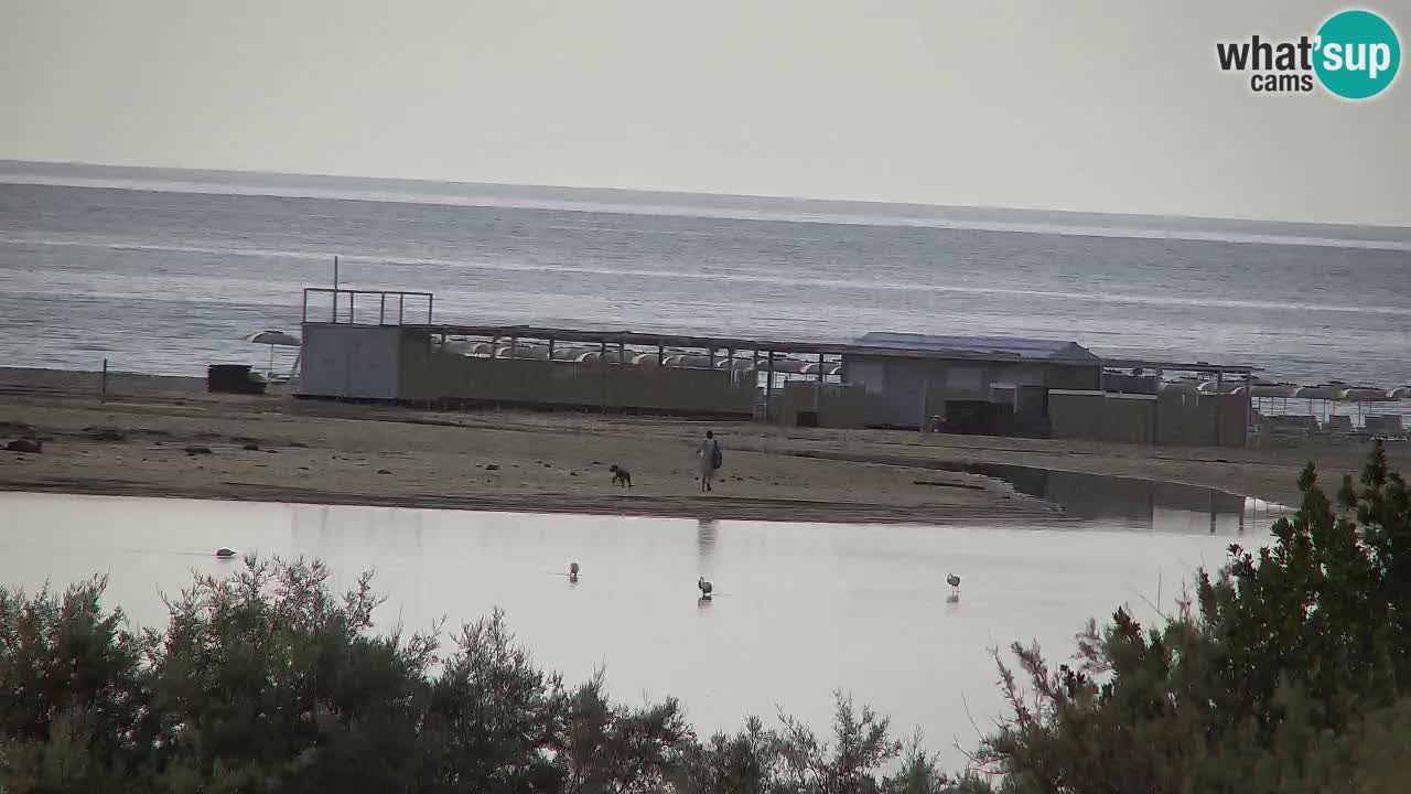 Webcam Chia – Live View of Su Giudeu Beach