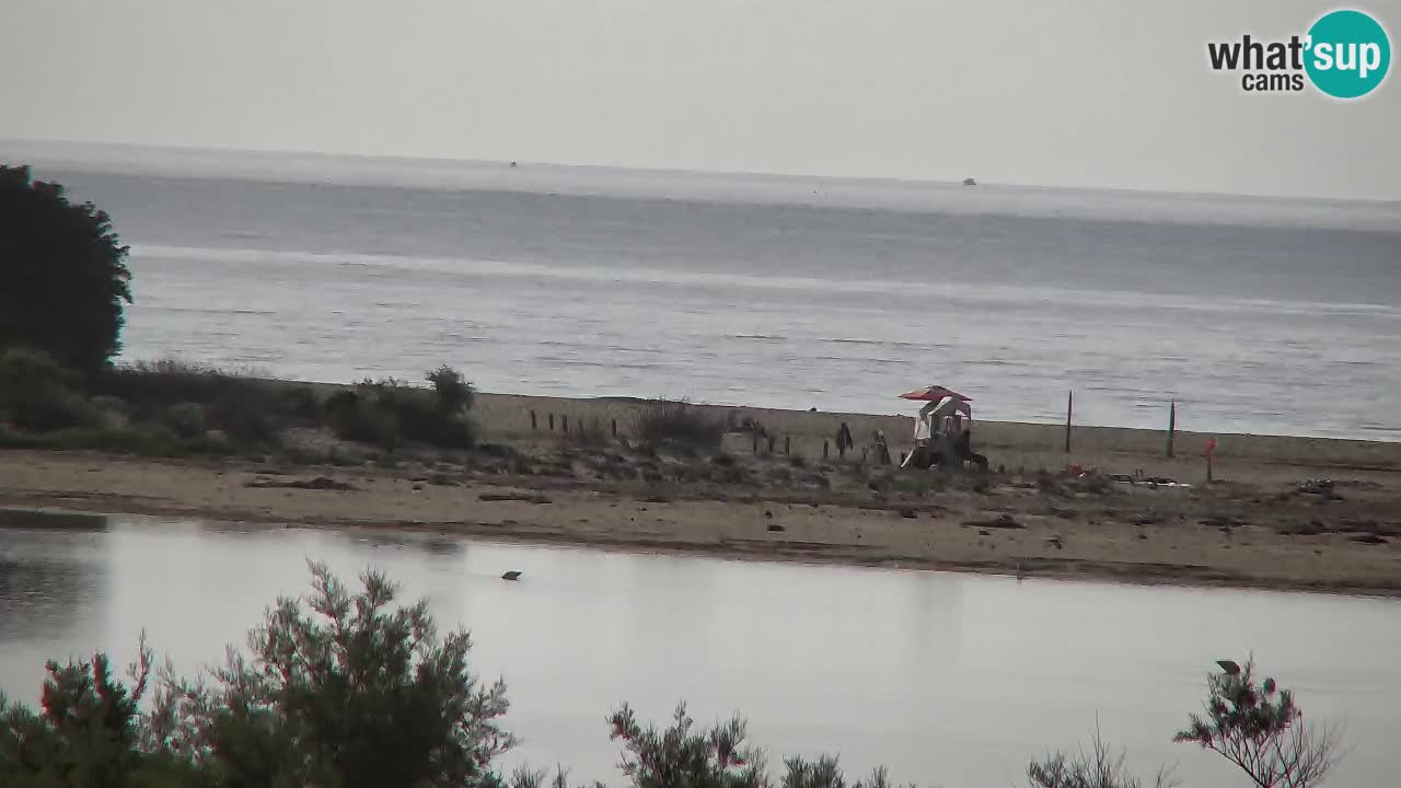 Webcam Chia – Live View of Su Giudeu Beach